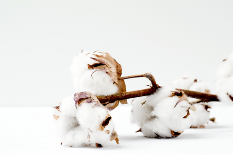 What is the Better Cotton Initiative?